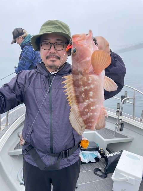 アコウ(キジハタ)