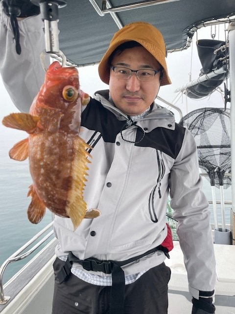 アコウ(キジハタ)