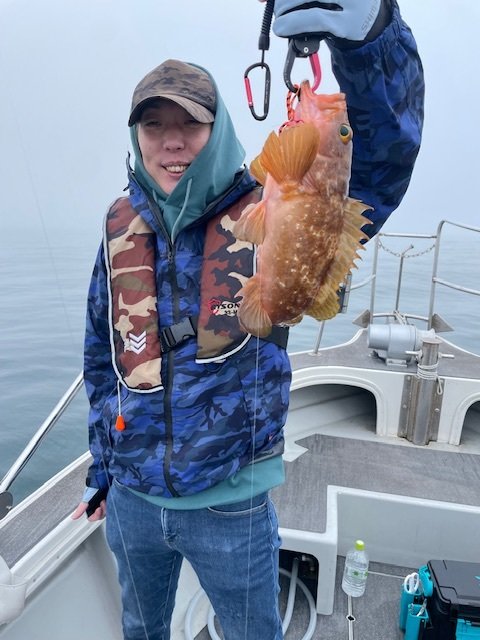 アコウ(キジハタ)