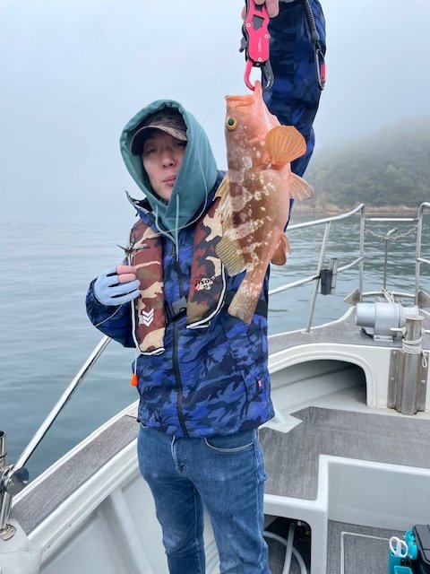 アコウ(キジハタ)