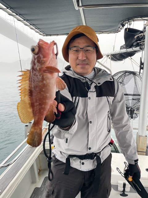 アコウ(キジハタ)