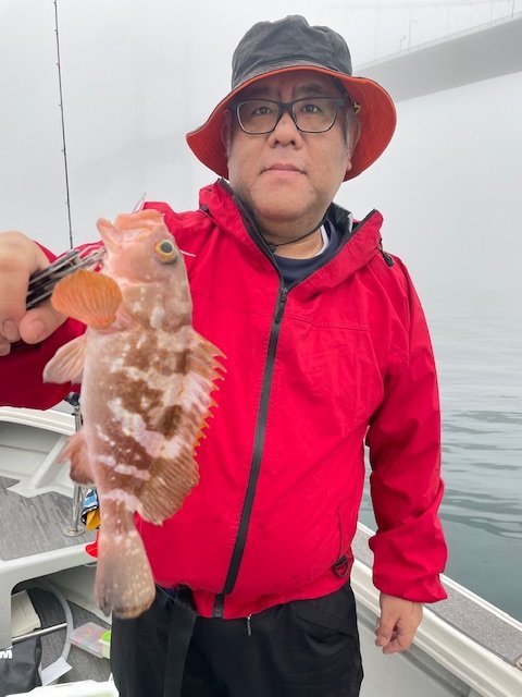 アコウ(キジハタ)