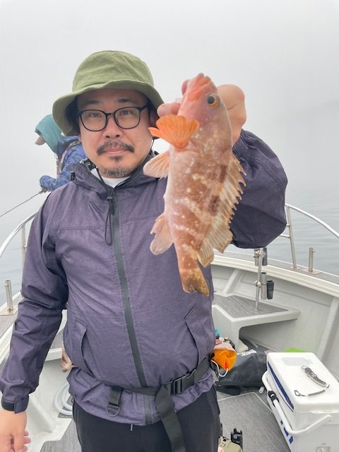 アコウ(キジハタ)