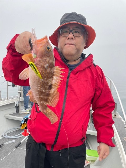 アコウ(キジハタ)