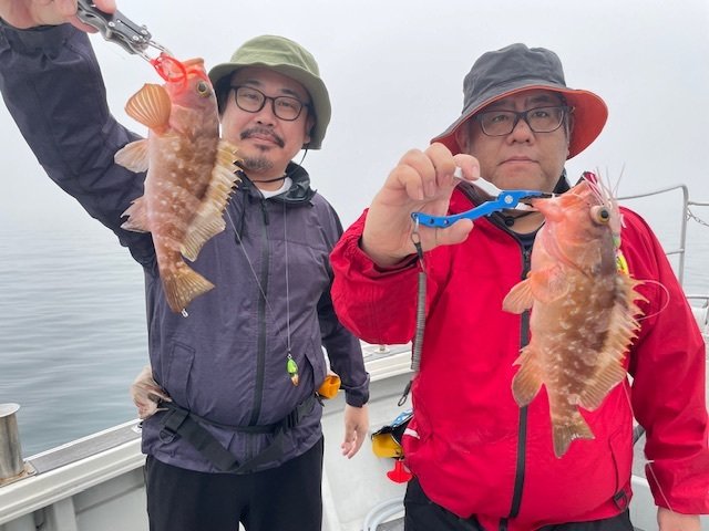 アコウ(キジハタ)