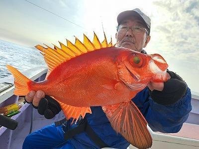 キントキ(チカメキントキ)