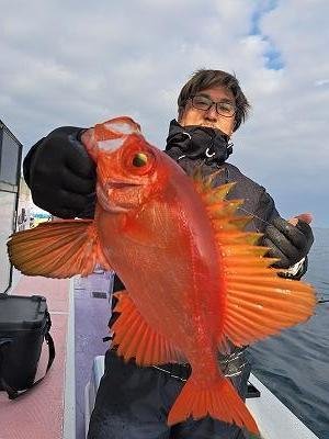 キントキ(チカメキントキ)