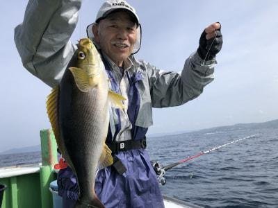 イサギ(イサキ)