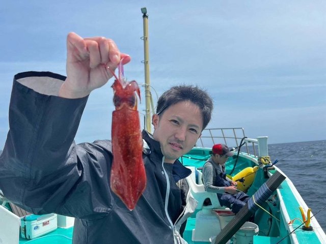 マルイカ(ケンサキイカ)