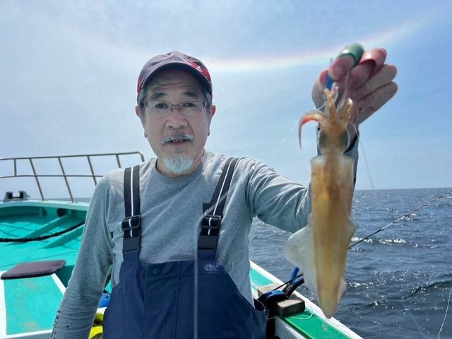 マルイカ(ケンサキイカ)