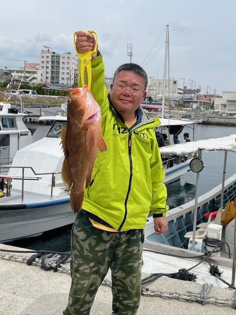 ハタ(キジハタ)