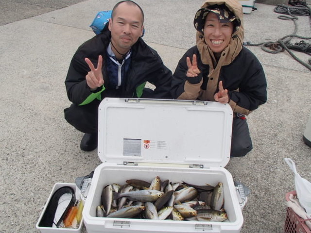 マアジ・イサキ