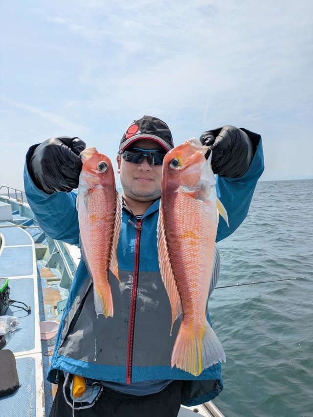 アマダイ(アカアマダイ)