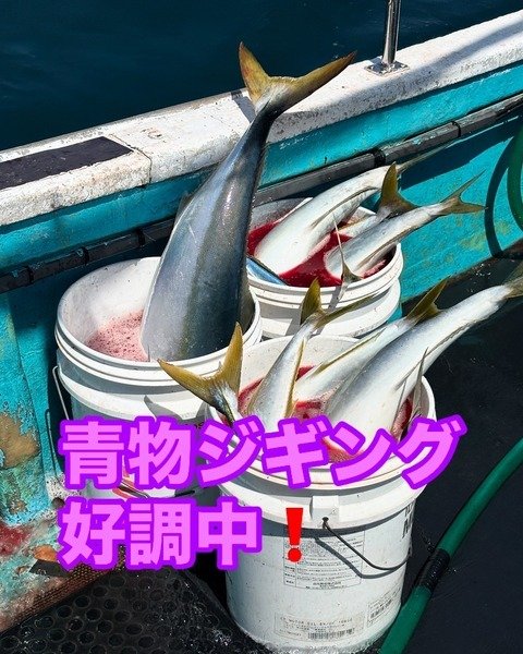 ブリ・ワラサ(ブリ)・ヒラマサ