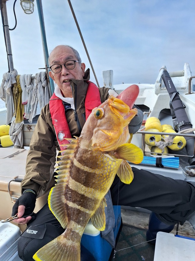 アオナ(アオハタ)