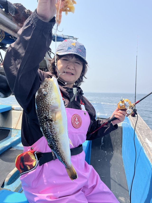 ショウサイフグ