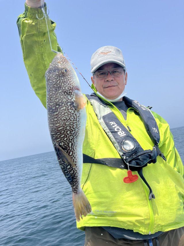 ショウサイフグ