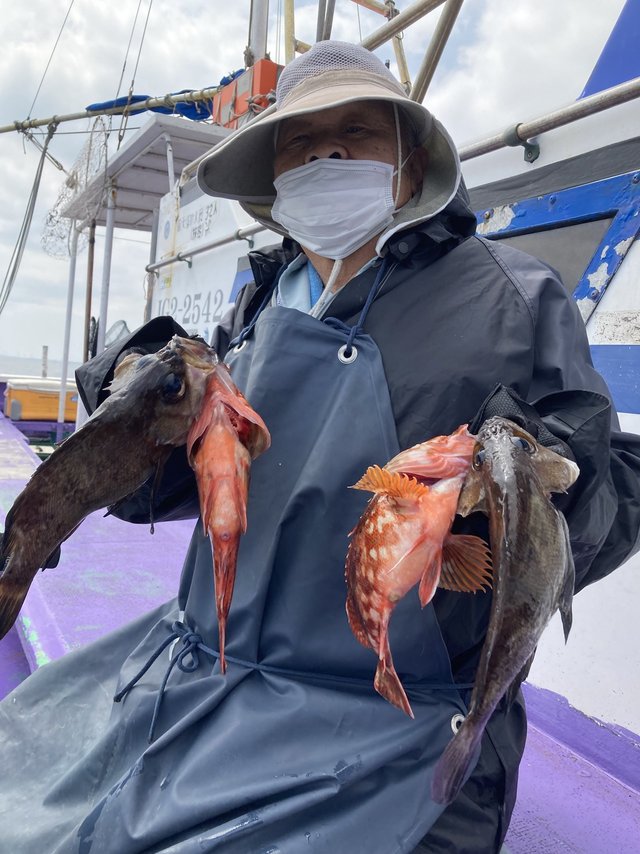 カサゴ・メバル