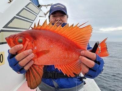 キントキ(チカメキントキ)