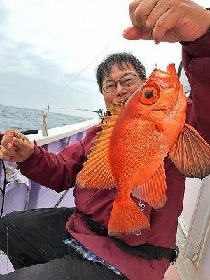 キントキ(チカメキントキ)