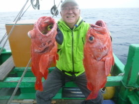 ベニアコウ(オオサガ)