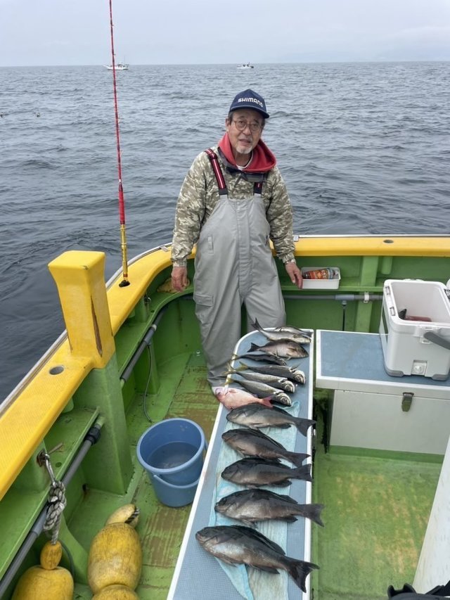 ハナダイ(チダイ)・クロダイ・メジナ・アジ(マアジ)・イサキ