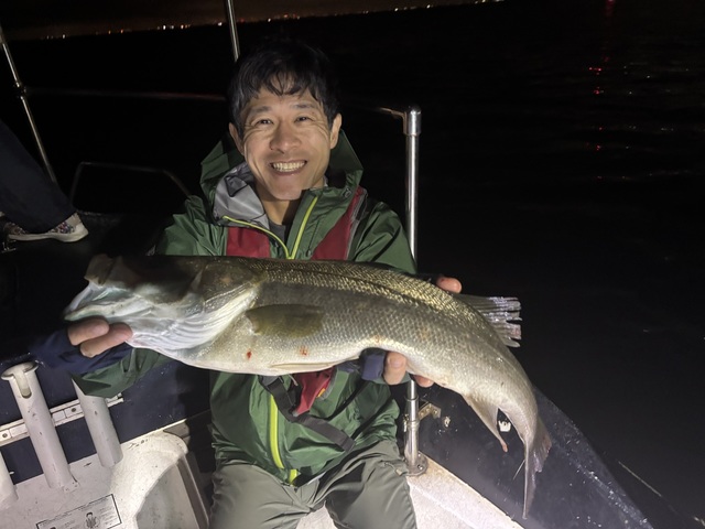 シーバス(スズキ)