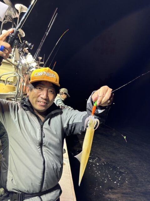 マイカ(ケンサキイカ)