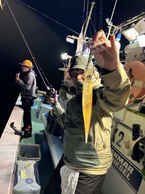 マイカ(ケンサキイカ)