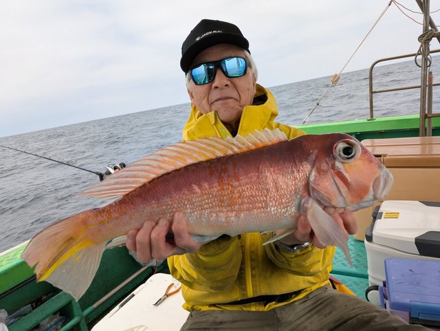 アマダイ(アカアマダイ)