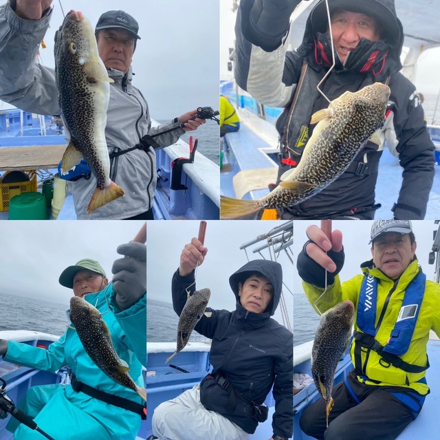 ショウサイフグ