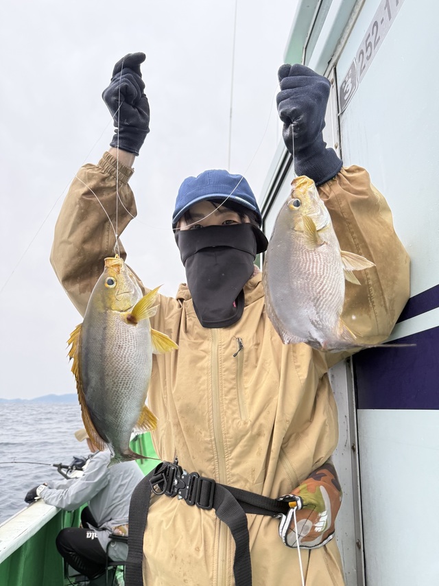 イサギ(イサキ)