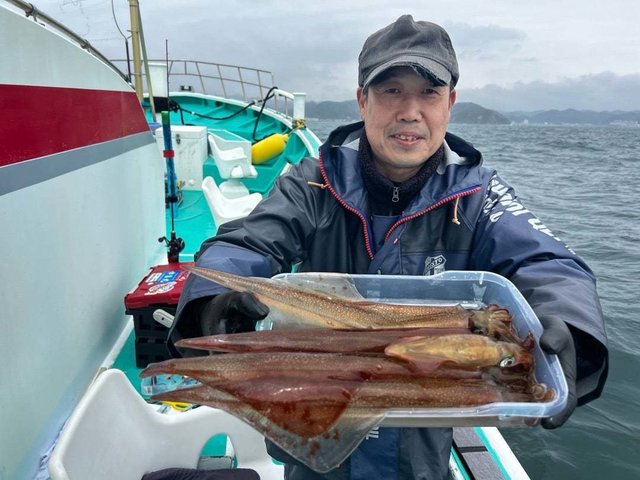 マルイカ(ケンサキイカ)・ヤリイカ