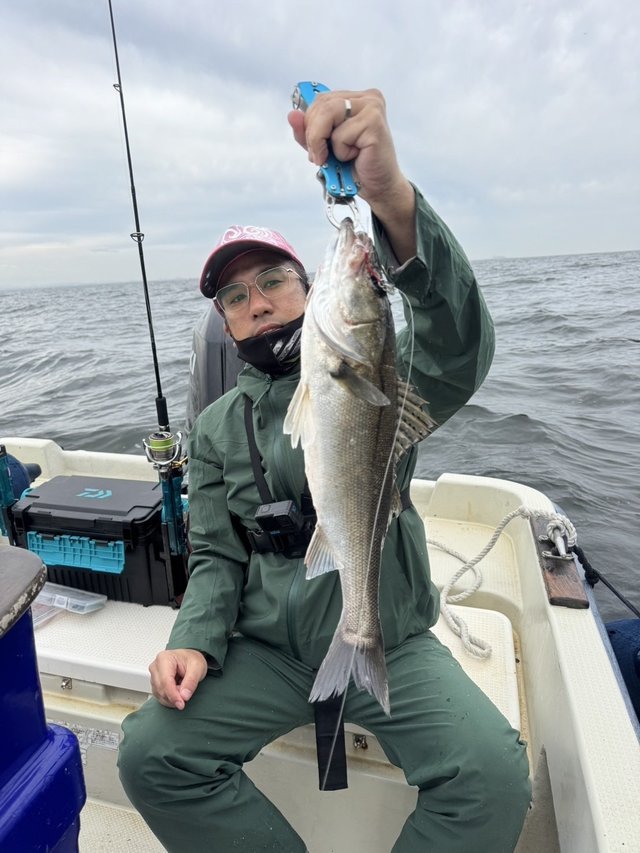 シーバス(スズキ)