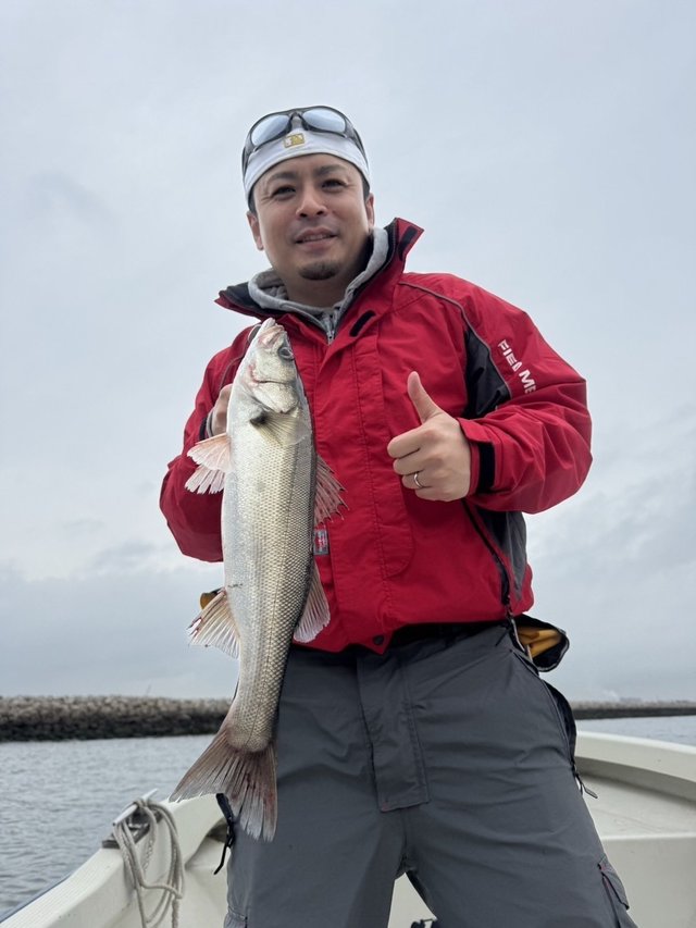 シーバス(スズキ)