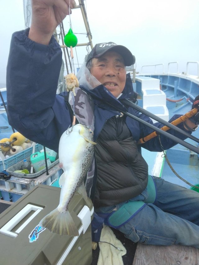 ショウサイフグ