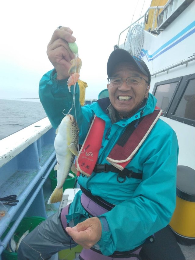 ショウサイフグ