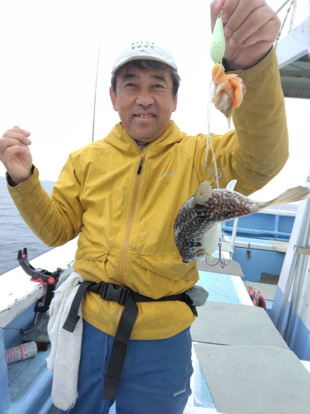 ショウサイフグ