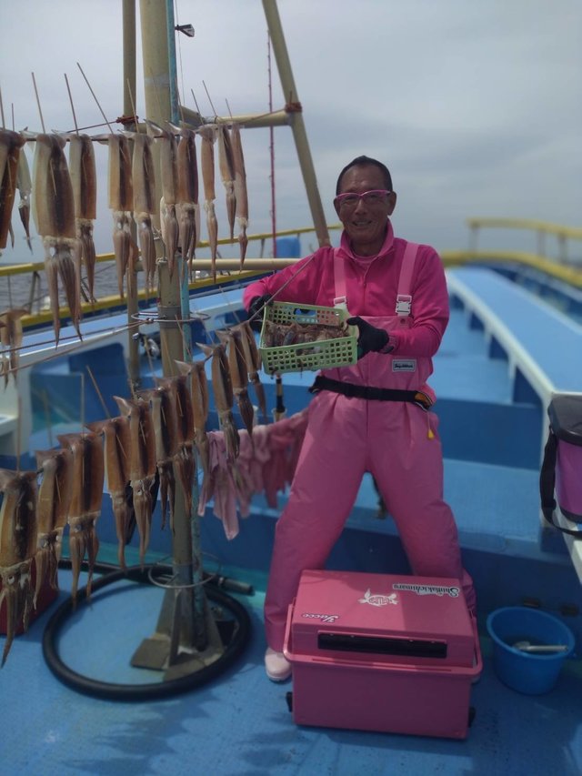 スルメ(スルメイカ)