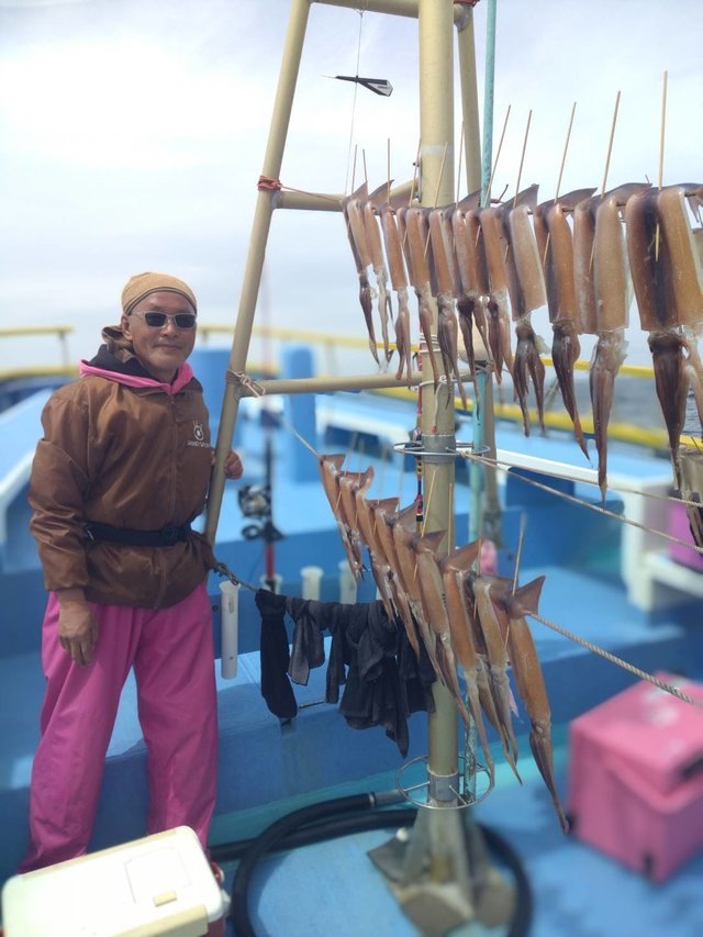 スルメ(スルメイカ)