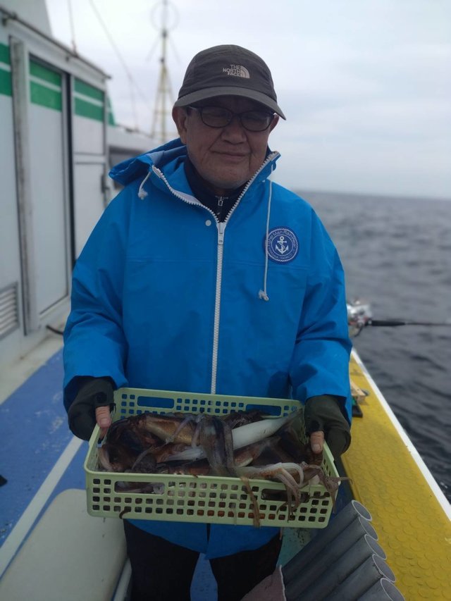 スルメ(スルメイカ)