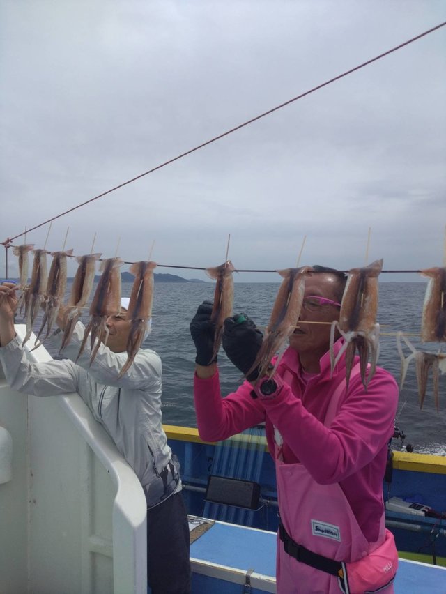 スルメ(スルメイカ)