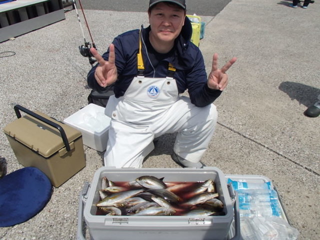 アジ(マアジ)・イサキ