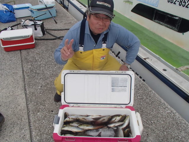 アジ(マアジ)・イサキ