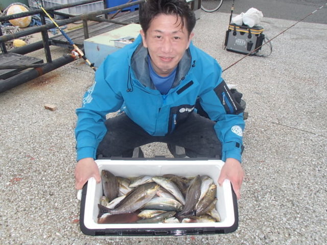 アジ(マアジ)・イサキ