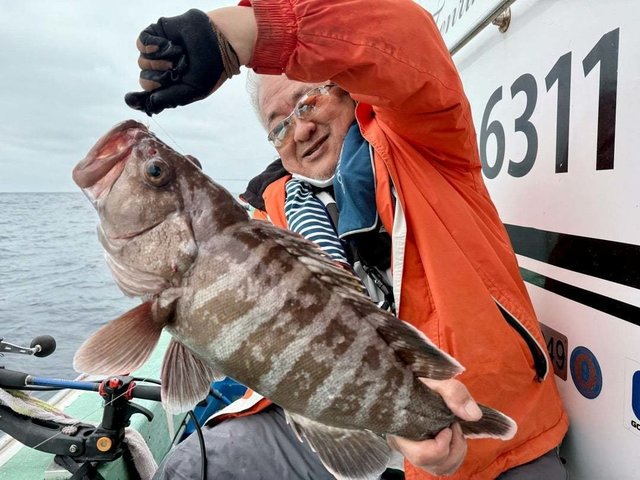 タカバ(アオハタ)