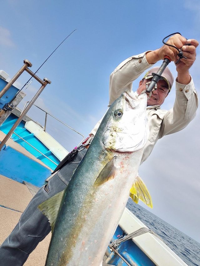 ヒラス(ヒラマサ)