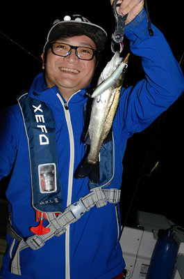 シーバス(スズキ)