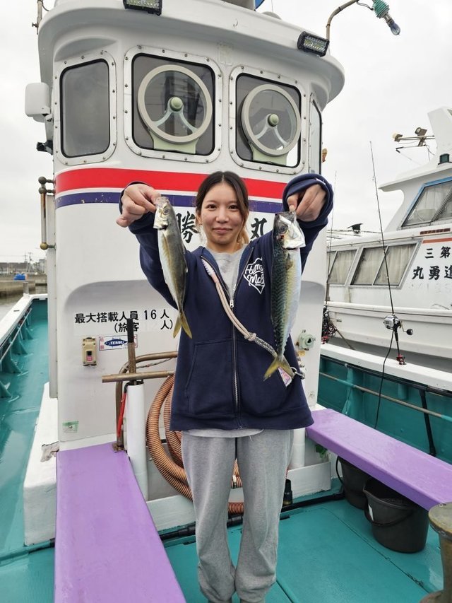 アジ(マアジ)・サバ(ゴマサバ)