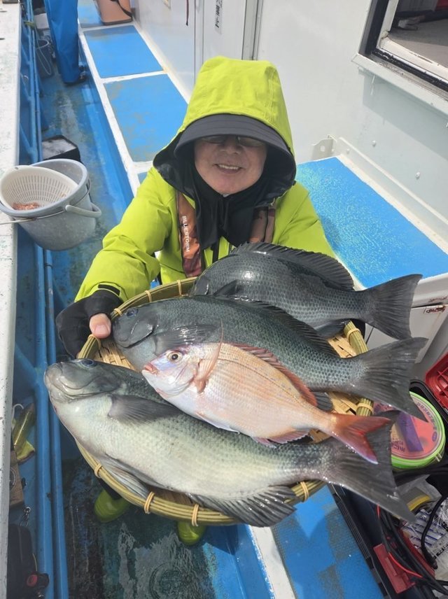 タイ(マダイ)・メジナ